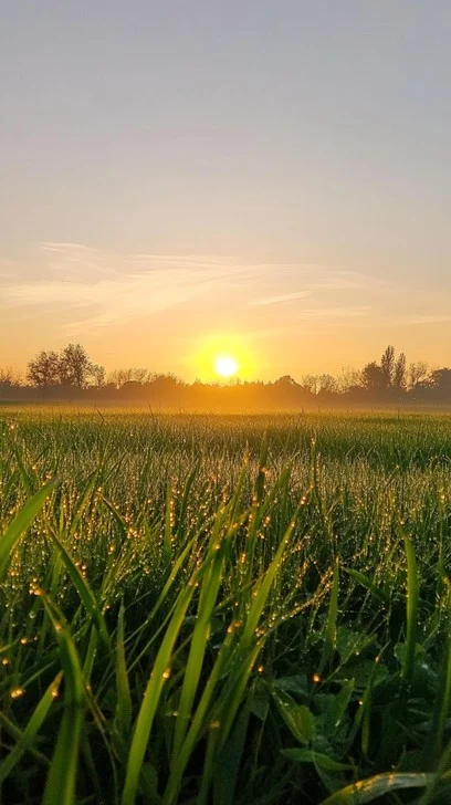 Thursday Morning Blessings