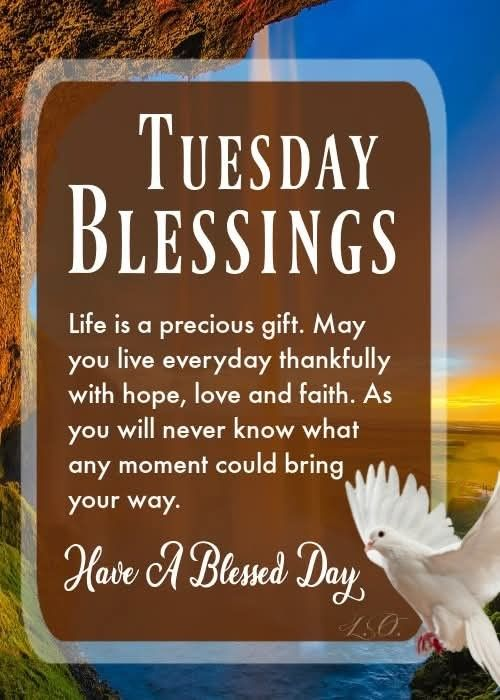 Best Tuesday Prayer Blessings
