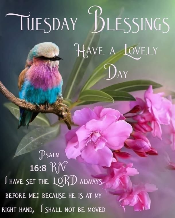 Tuesday Blessings Quotes