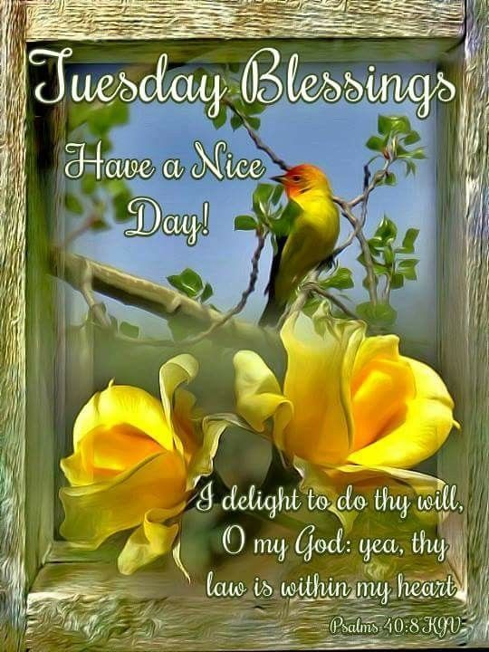 Positive Prayer Tuesday Blessings