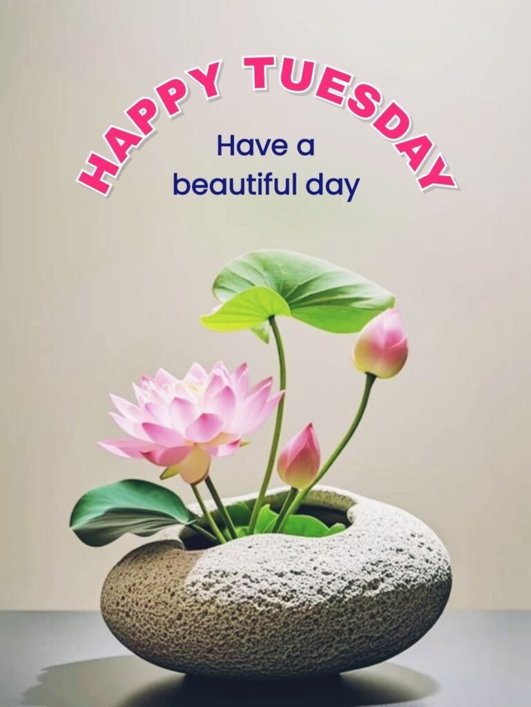 Tuesday Blessings GIF and Caption