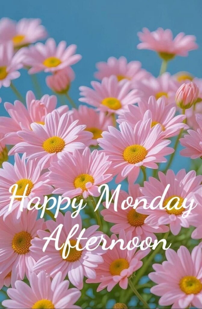 Good Afternoon Monday Blessings