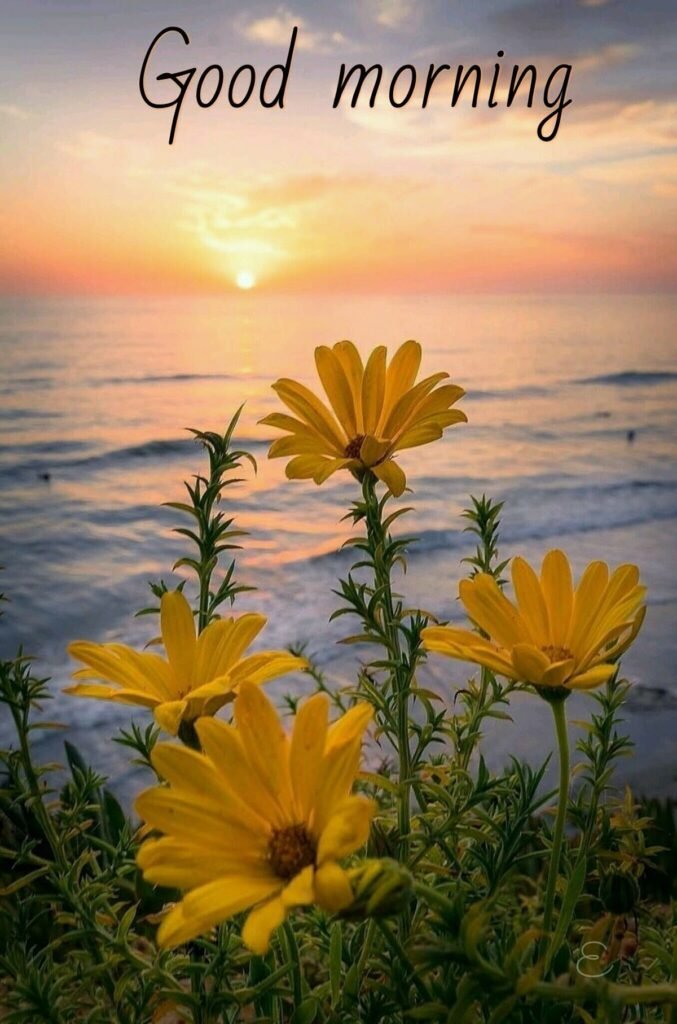 Good Morning Thursday Quotes 