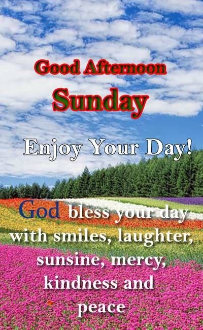 Good Afternoon Sunday Blessings