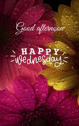Good Afternoon Wednesday Blessings