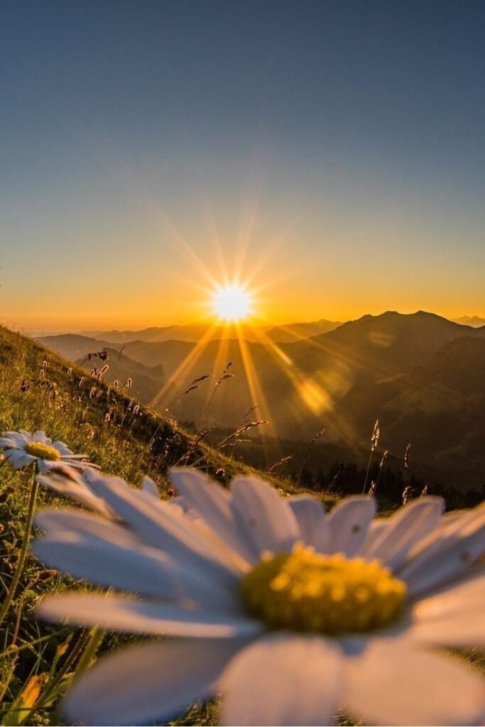 Wednesday Morning Greetings and blessings