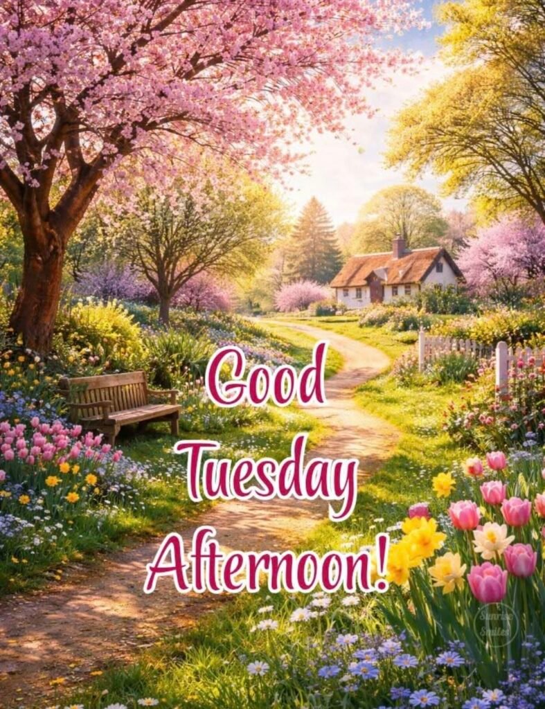 Good Afternoon Tuesday Blessings