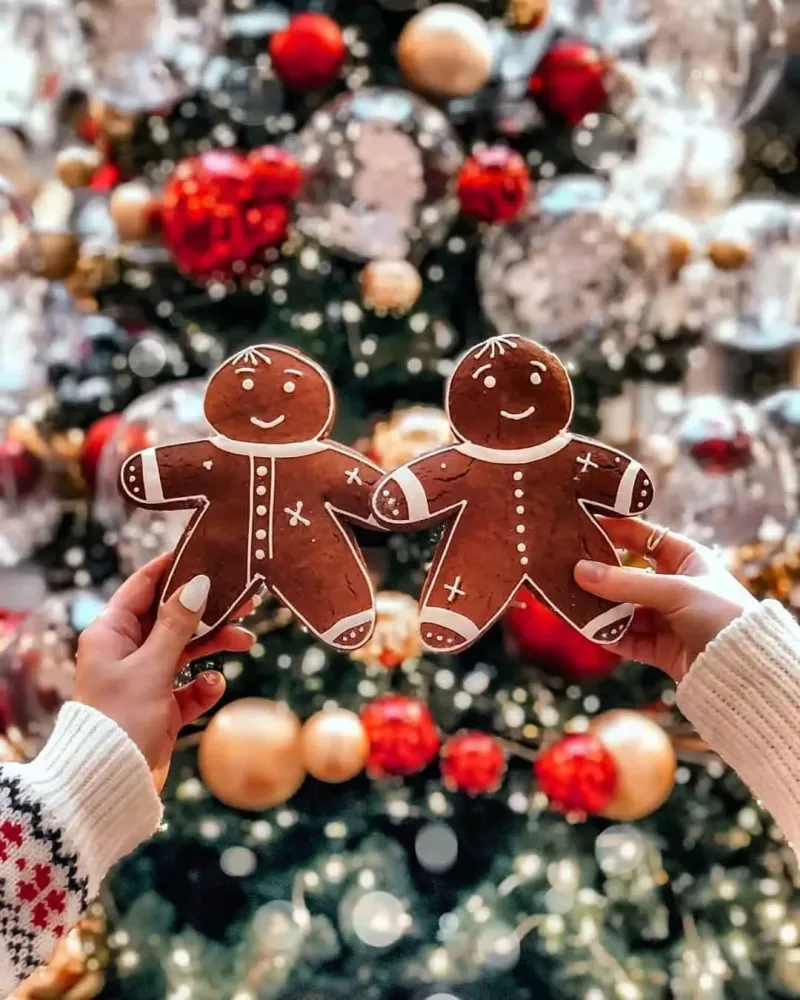 Christmas Blessings to Share on Social Media (Captions & Posts)