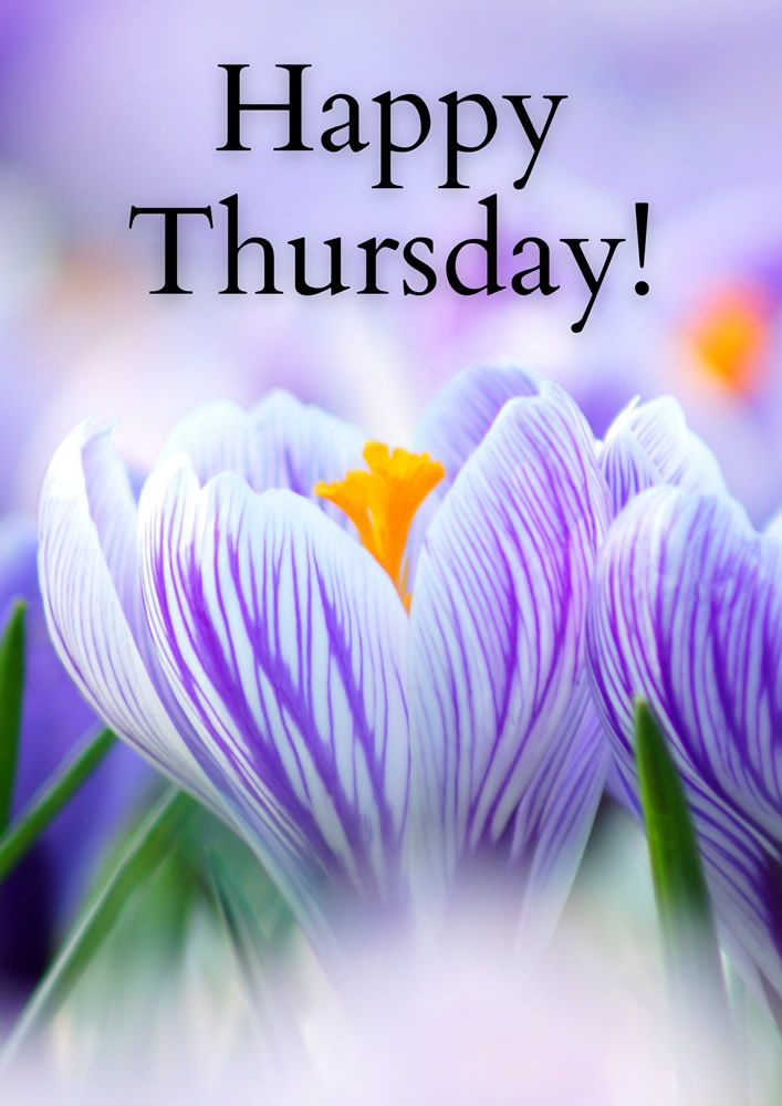 Happy Thursday Christmas blessings