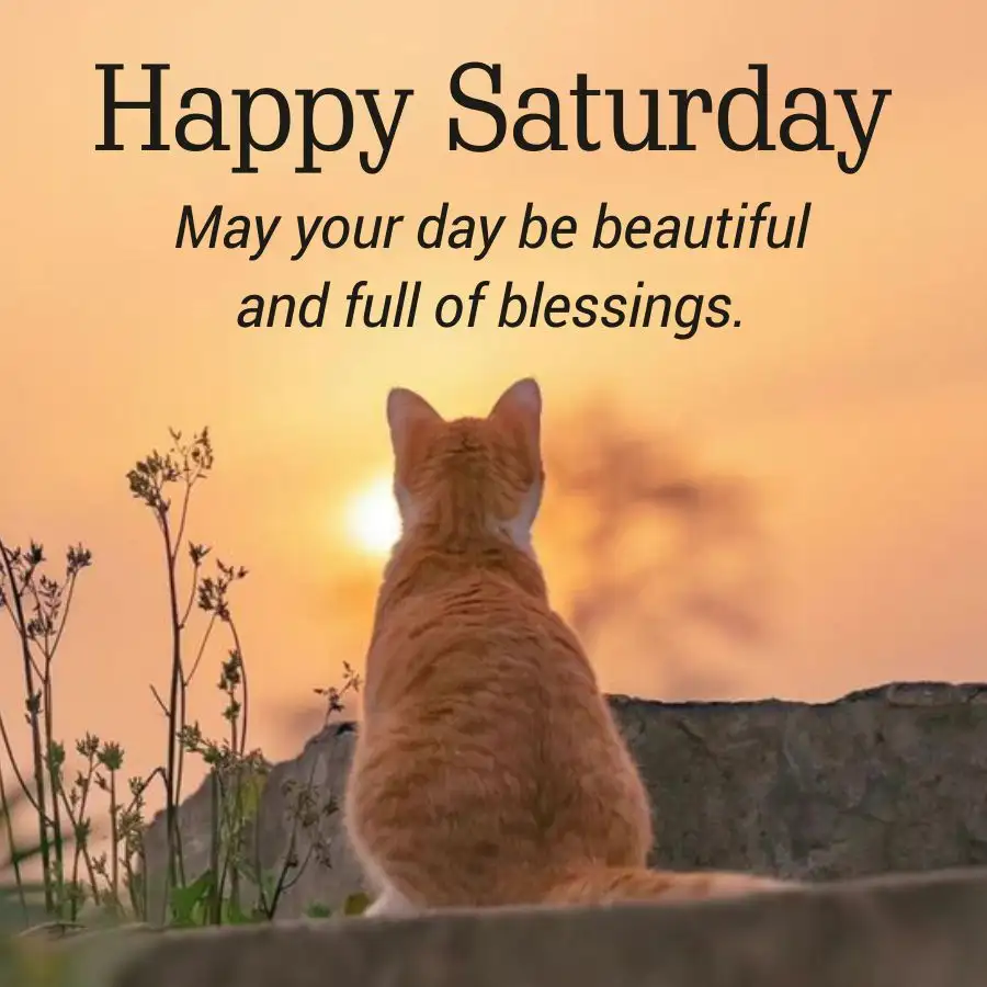 Weekend Blessings For Saturday