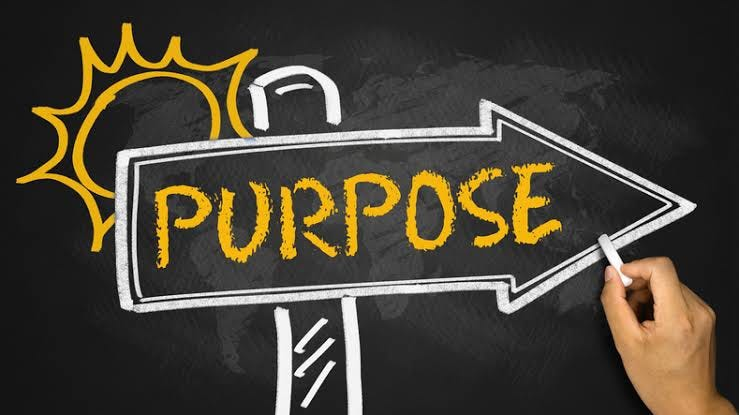 Purpose In Daily Work