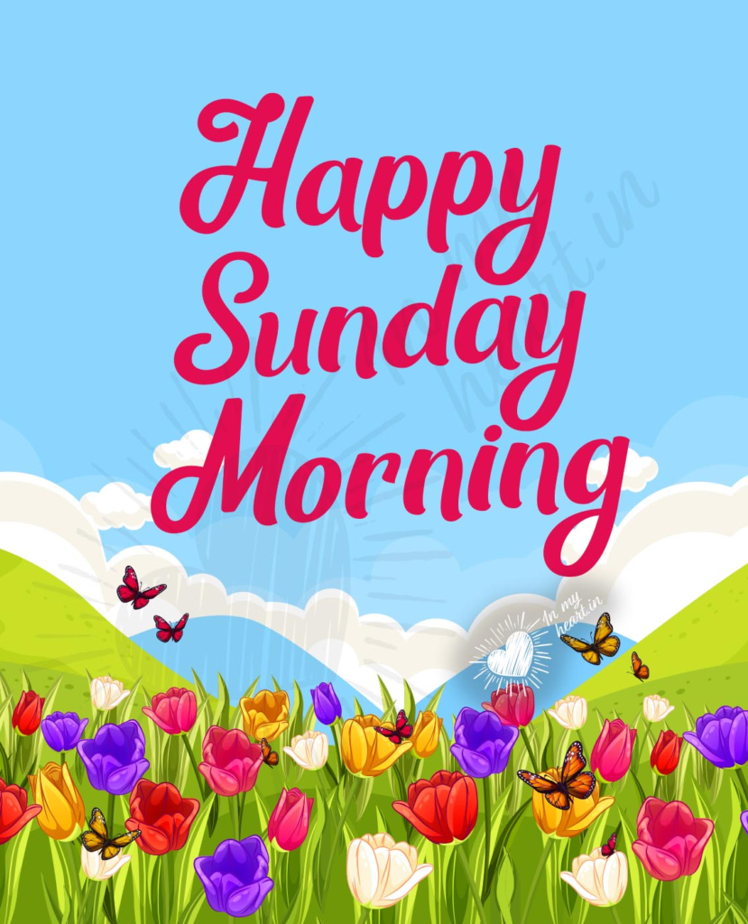 Blessed Sunday Morning Prayer to Start the Day