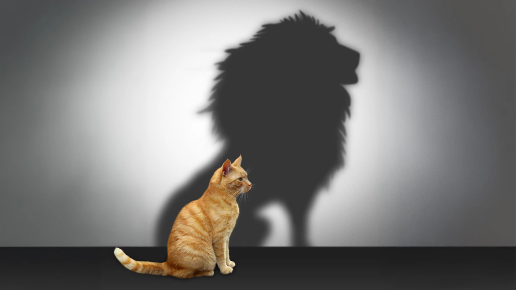 A Prayer for Weekly Strength and Courage