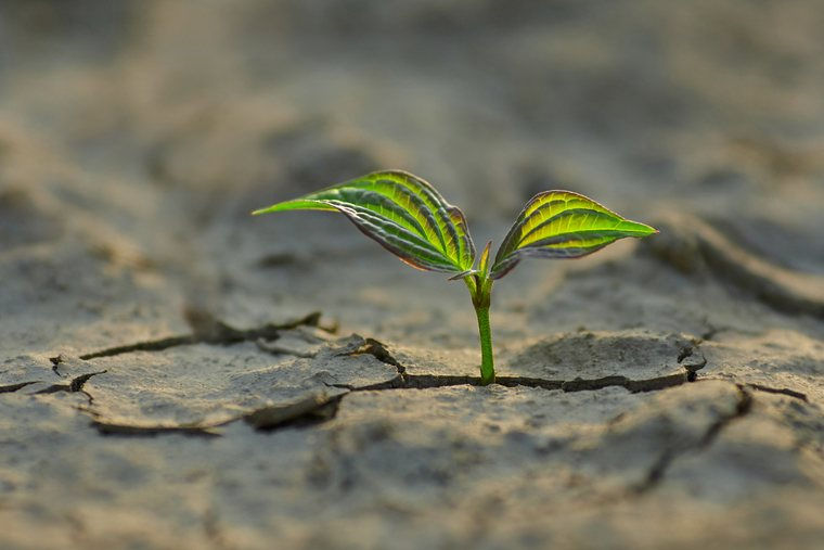 A Prayer for Hope in Difficult Times