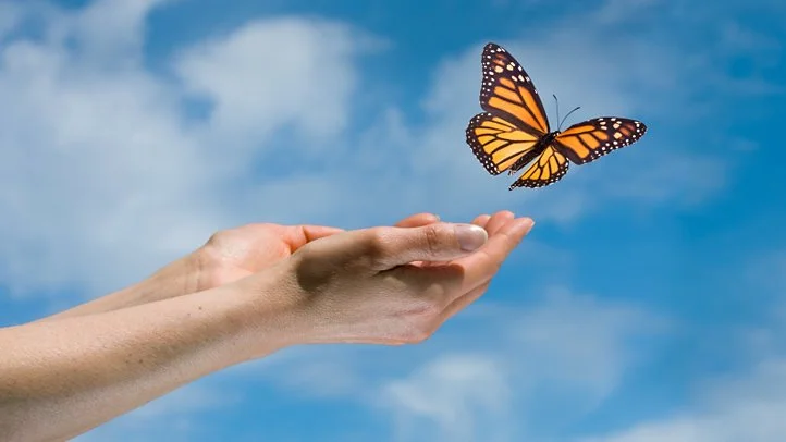 Forgiveness & Letting Go