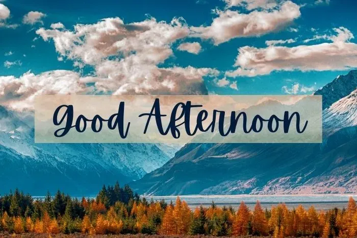 Good Afternoon Wednesday Blessings