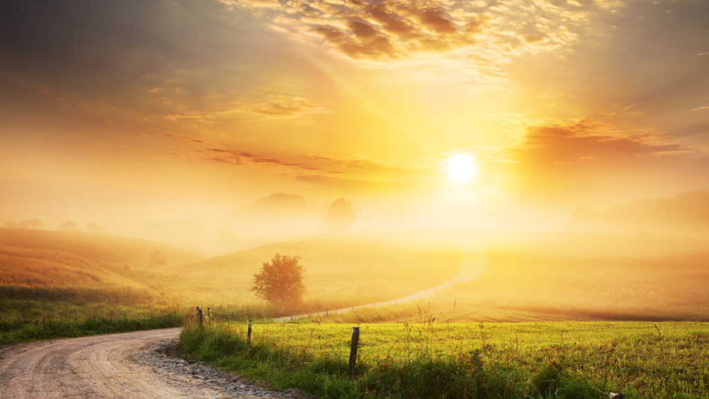 Good Morning Wednesday Blessings Wishes