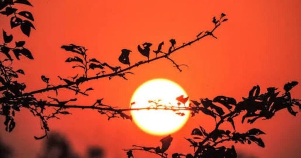 Good Evening Monday Blessings