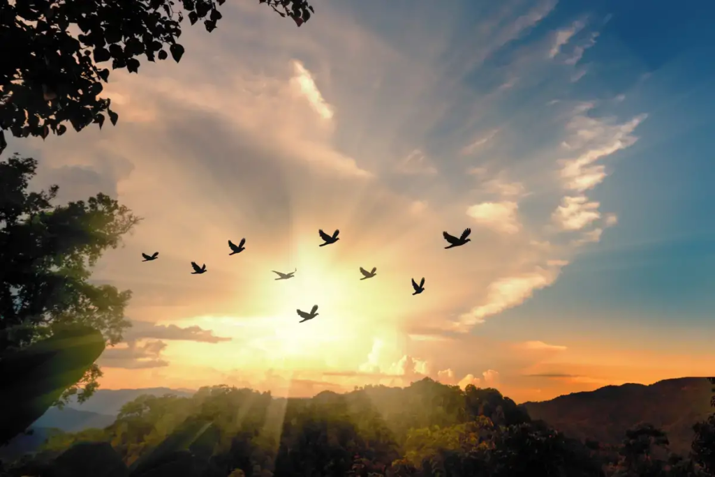 Peaceful Tuesday Blessings Images And Quotes